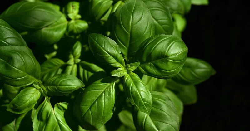 La cuisine comme pratique communautaire, pas comme performance