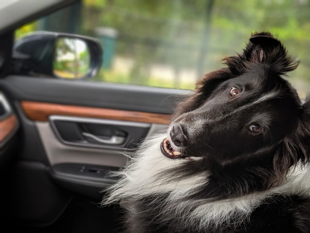 Les meilleures destinations road trip en famille en Europe, classées par profil